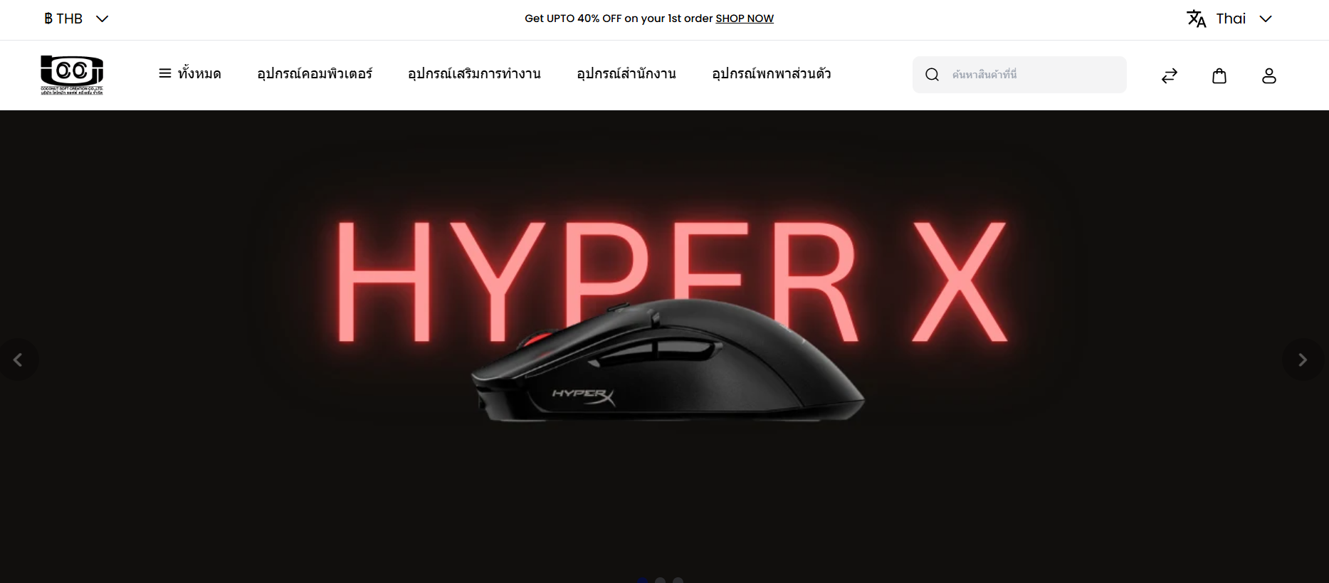 Woman Reading a Book